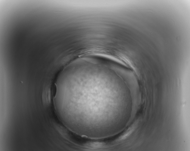 X0000088740205200706071706