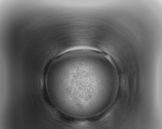 X0000088740206200706071706