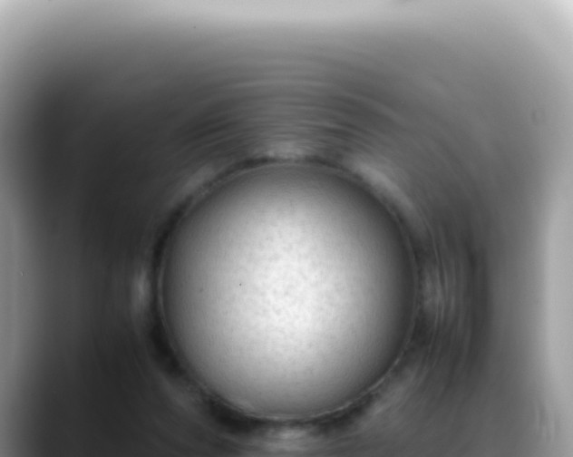 X0000088740208200706071706