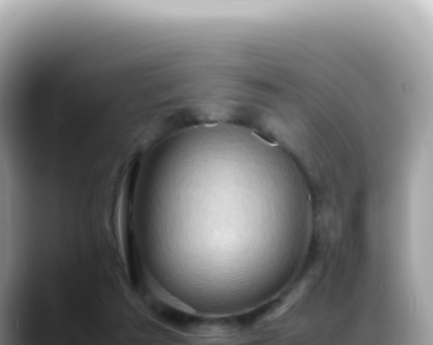 X0000088740209200706071706