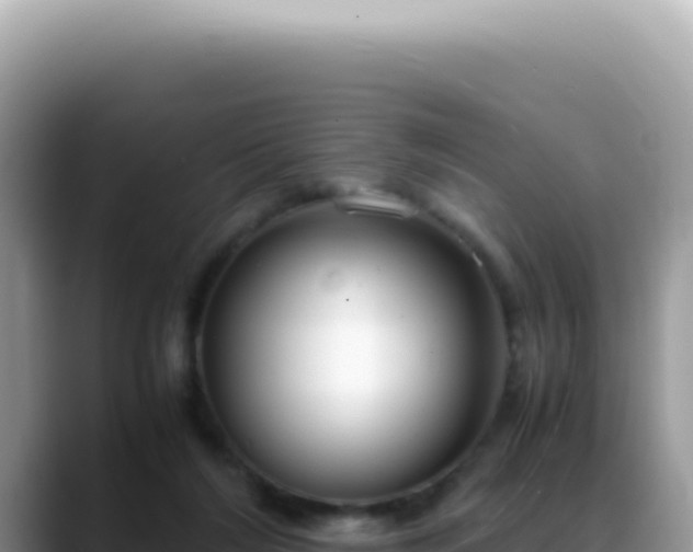 X0000088740212200706071706