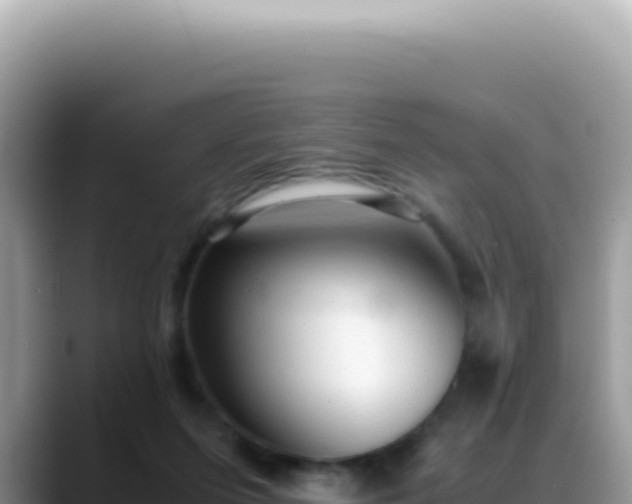 X0000088740215200706071706