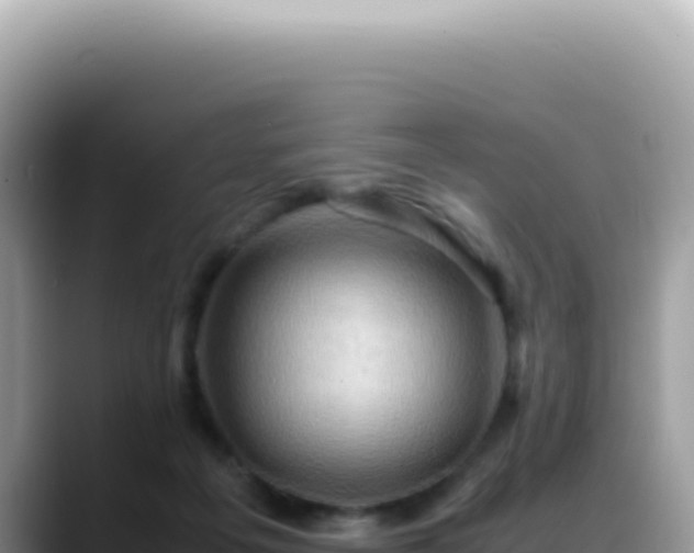 X0000088740217200706071706