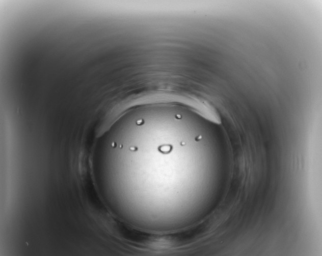 X0000088740218200706071706