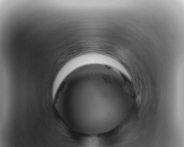 X0000088740219200706071706