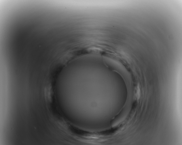 X0000088740223200706071706