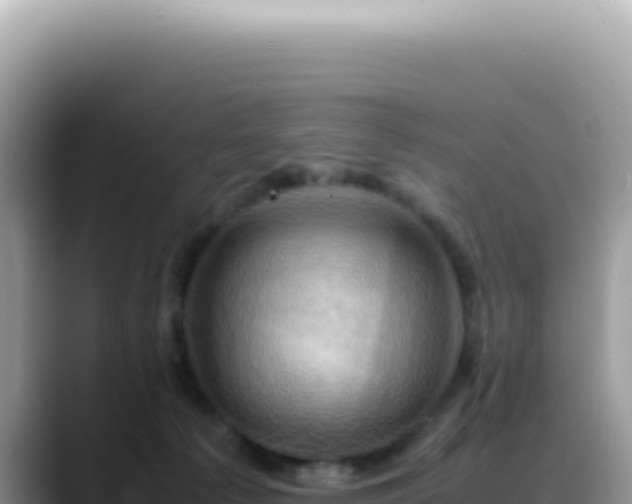 X0000088740225200706071706
