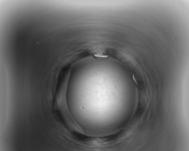 X0000088740229200706071706