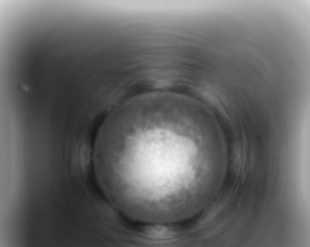 X0000088740230200706071706