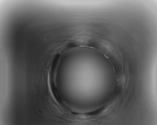 X0000088740231200706071706