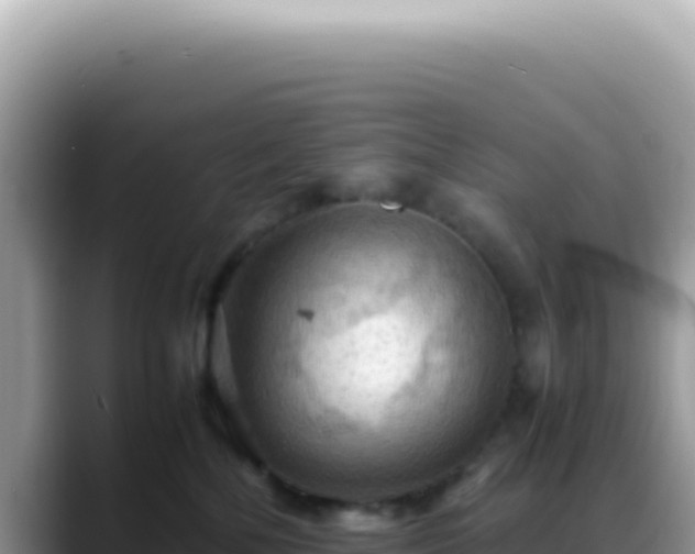 X0000088740232200706071706