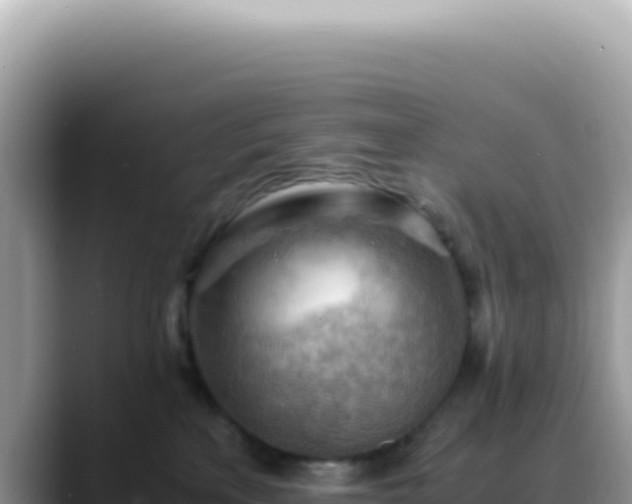 X0000088740233200706071706