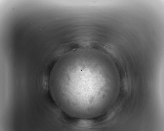 X0000088740234200706071706