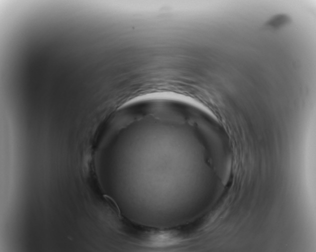 X0000088740235200706071706