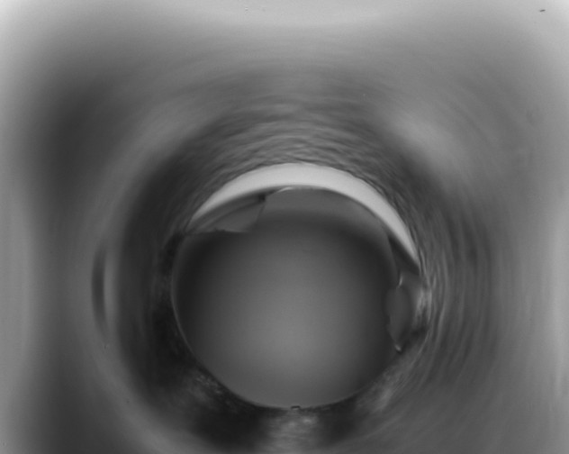 X0000088740239200706071706