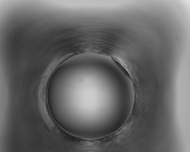 X0000088740241200706071705