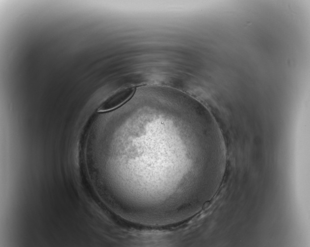 X0000088740242200706071705