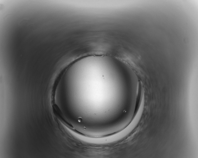 X0000088740244200706071705