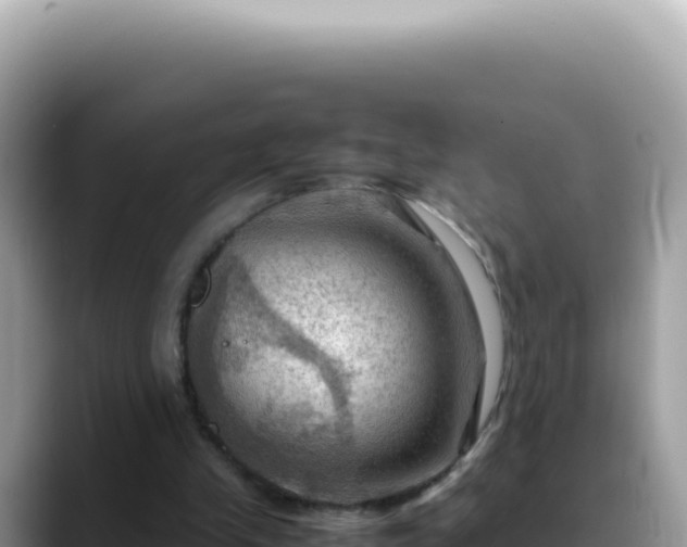 X0000088740245200706071705