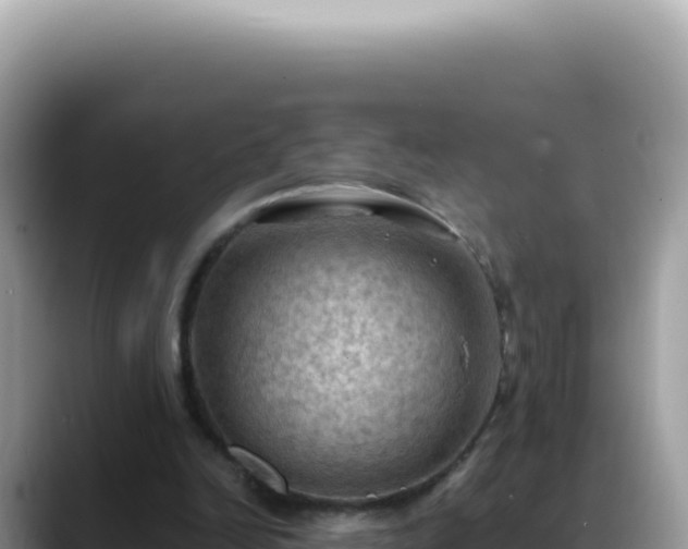 X0000088740246200706071705