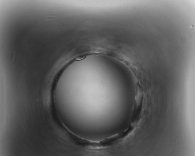 X0000088740247200706071705
