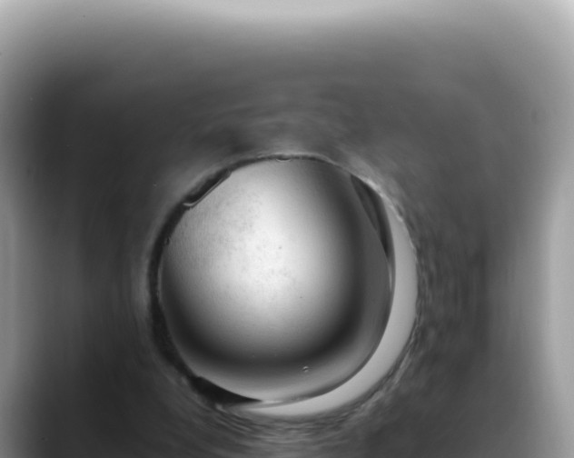 X0000088740248200706071705