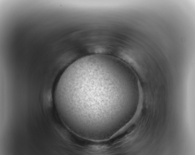 X0000088740251200706071705