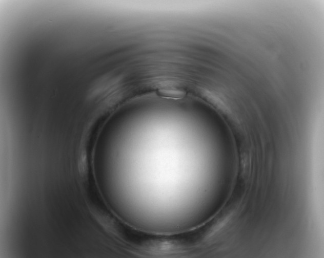 X0000088740254200706071705