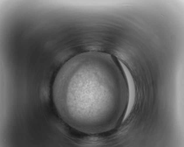 X0000088740255200706071705