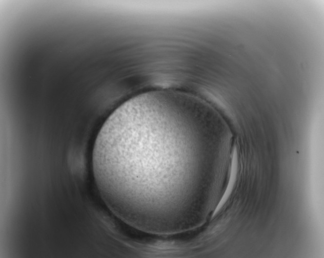 X0000088740256200706071705