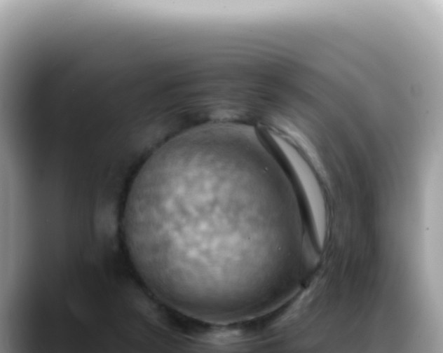 X0000088740257200706071705