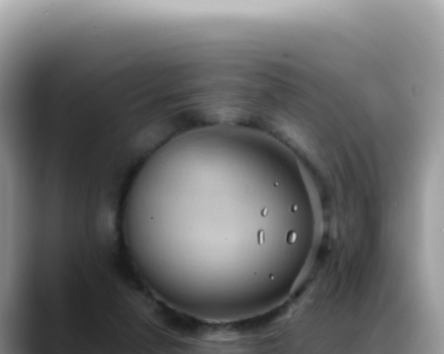 X0000088740258200706071705
