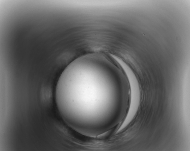 X0000088740260200706071706