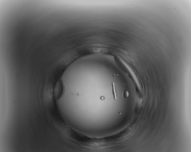 X0000088740263200706071706