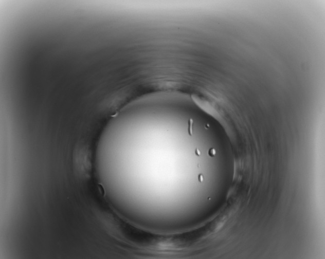 X0000088740264200706071706