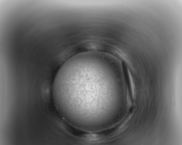X0000088740265200706071706
