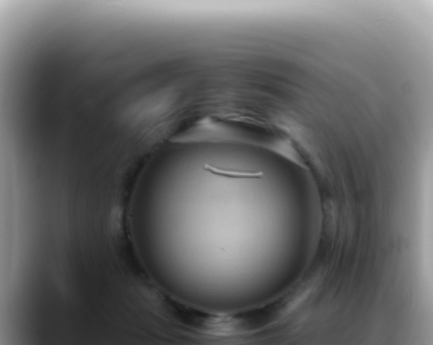 X0000088740269200706071706