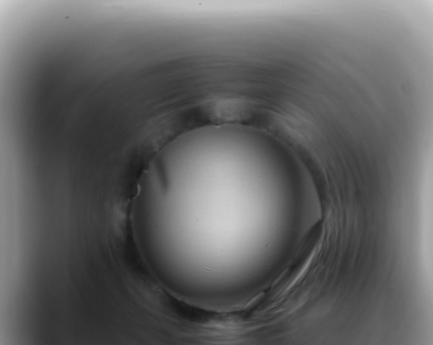 X0000088740271200706071706