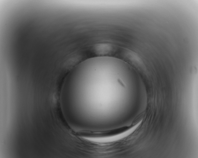 X0000088740277200706071706