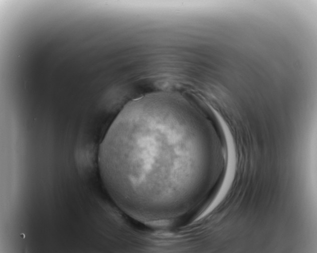 X0000088740280200706071706
