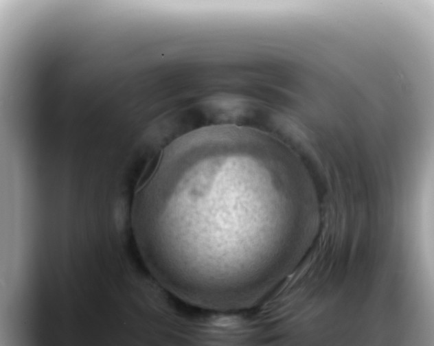 X0000088740283200706071706