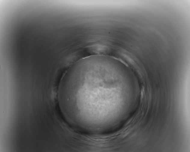 X0000088740284200706071706