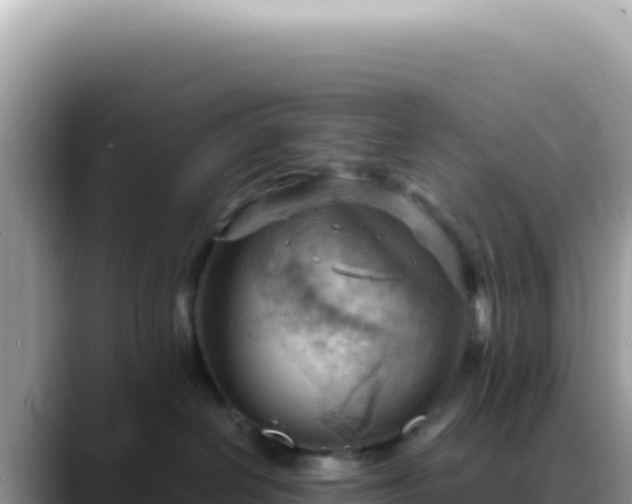 X0000088740286200706071706