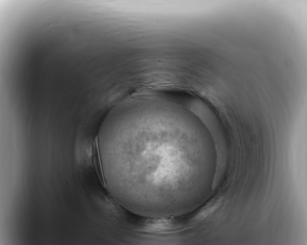 X0000088740288200706071706