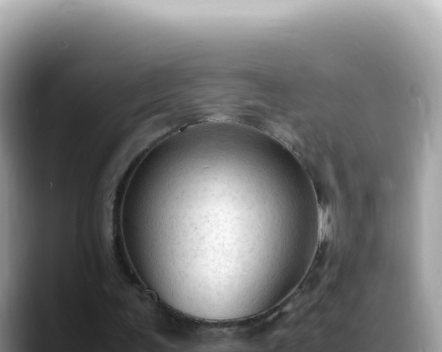X0000088740291200706071705