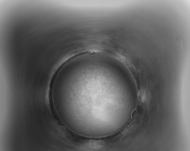 X0000088740292200706071705