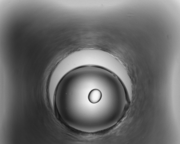 X0000088740293200706071705