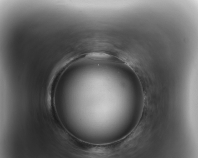 X0000088740294200706071705