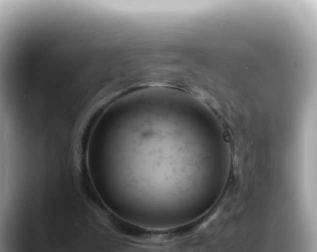 X0000088740295200706071705