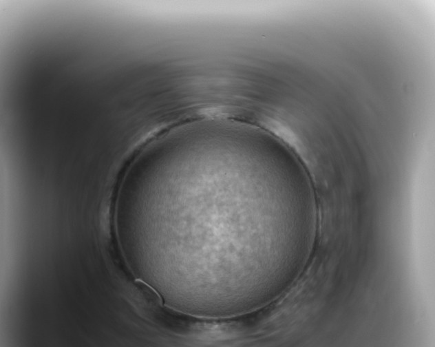 X0000088740297200706071705